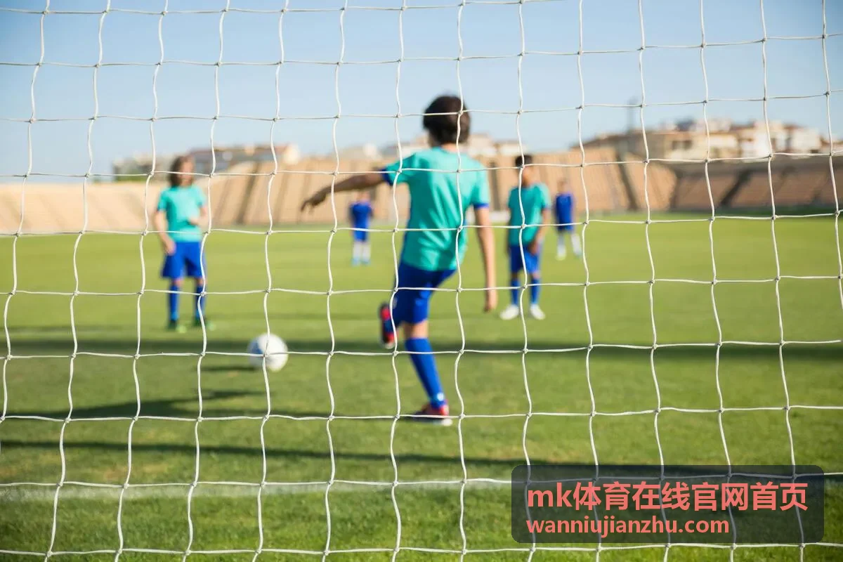 mk体育在线官网首页界面主题与字号设置